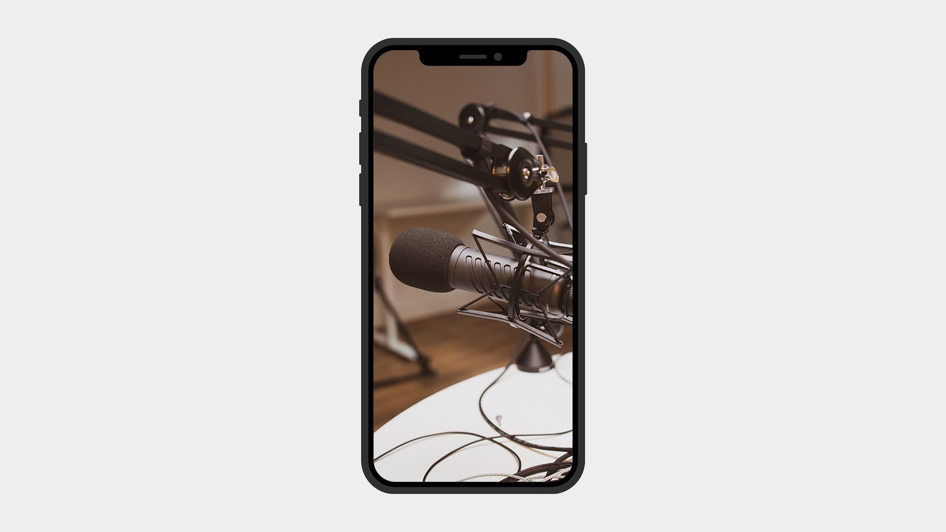Podcast mic